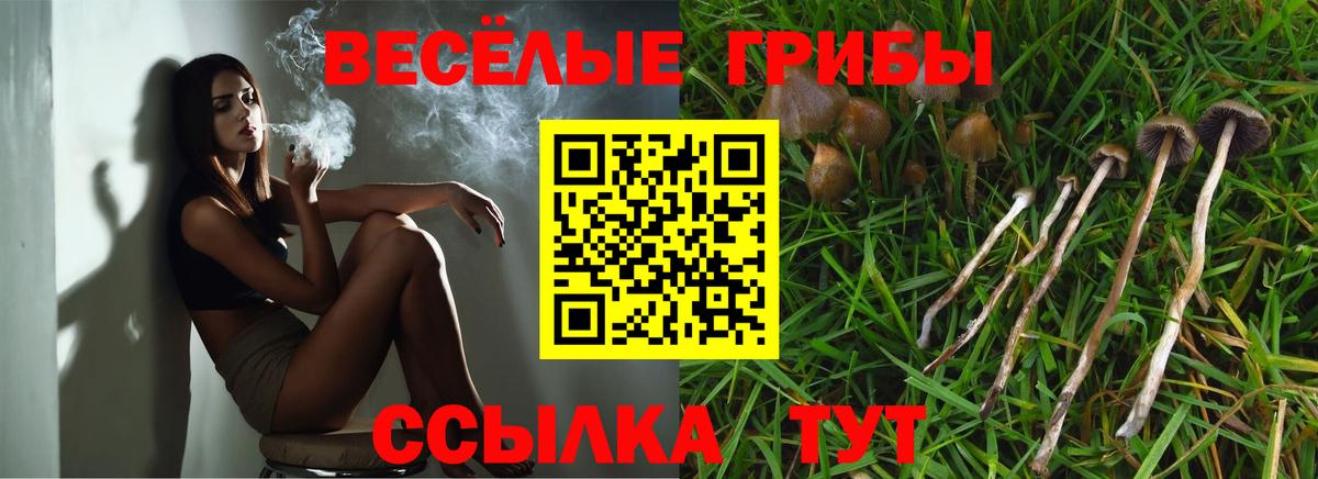 Псилоцибиновые грибы Cubensis  Псилоцибиновые грибы мухоморы  Вход с VPN  Лангепас 